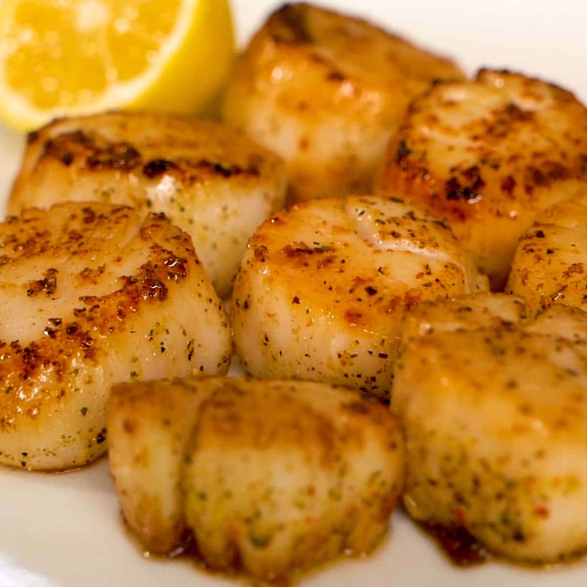 Grilled Scallops Goldens' Cast Iron Kamado Heath Riles