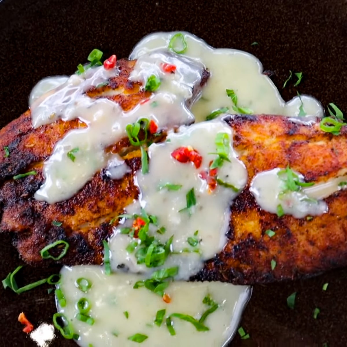 Blackened Red Snapper